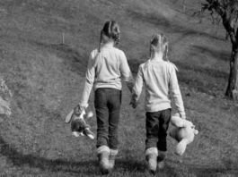 friendship ünitesi kelimeleri