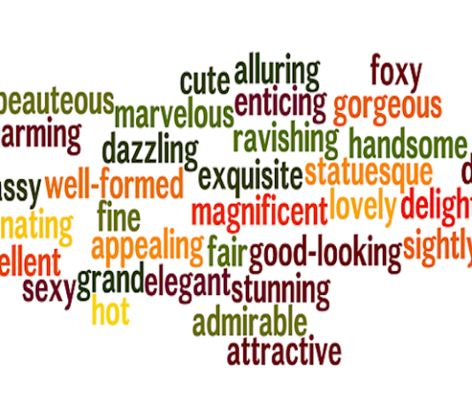 adjectives konu anlatımı