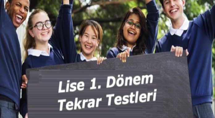 ortaöğretim lise tekrar testleri