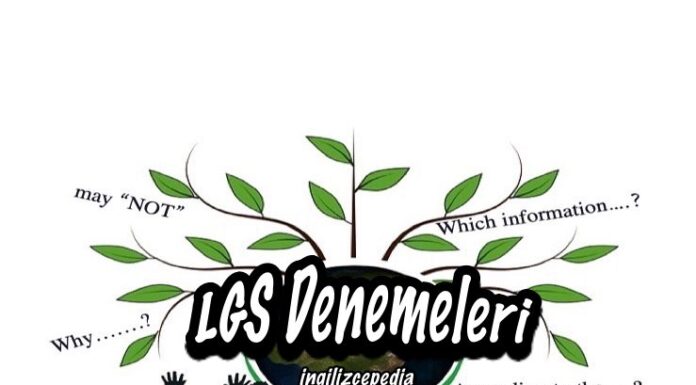 lgs ingilizce örnek sorular
