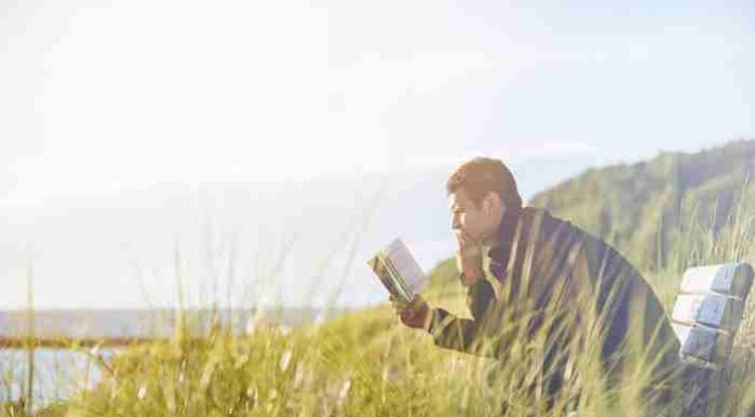 Bildungsroman nedir?