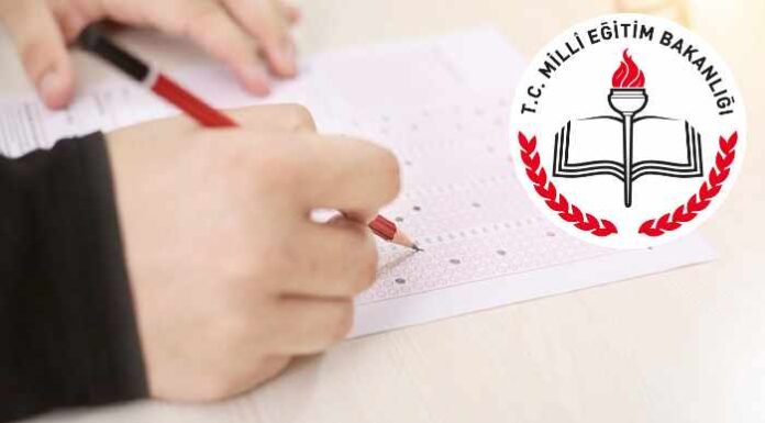 haziran ayı lgs destek soruları ingilizce
